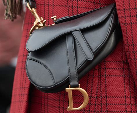 dior crossbody bag saddle|Dior saddle bag street style.